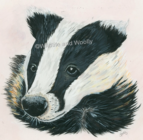 Painted Badger