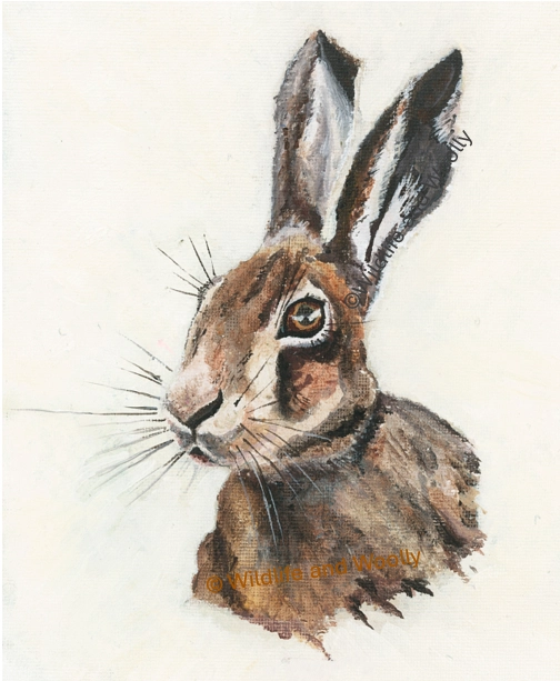 Painted Hare