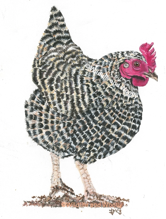 Painted Hester Hen