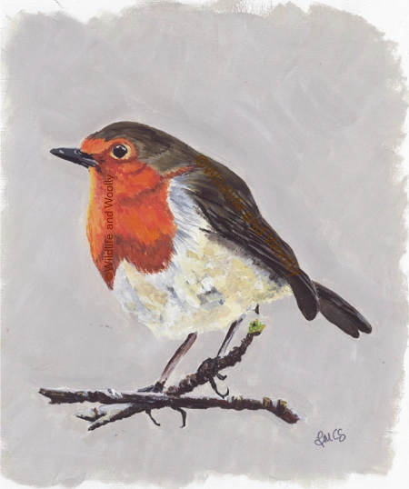 Painted Robin